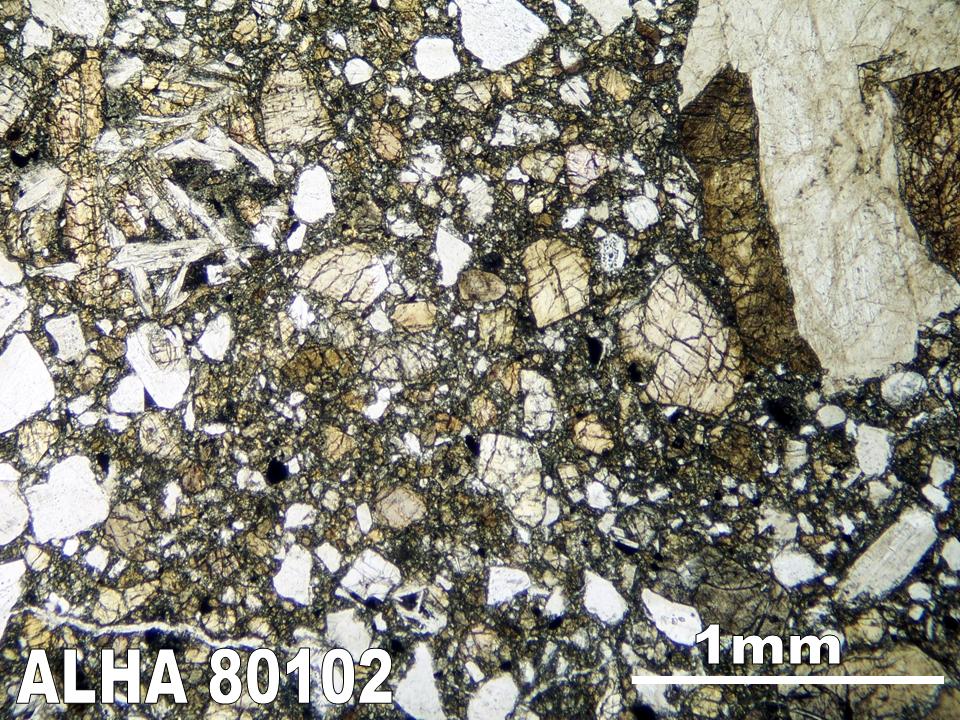Thin Section Photograph of Sample ALHA80102 in Plane-Polarized Light