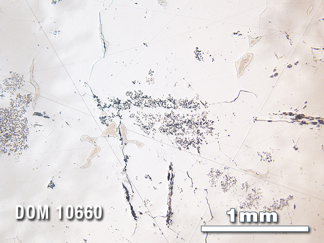 Thin Section Photo of Sample DOM 10660 in Reflected Light with 2.5X Magnification