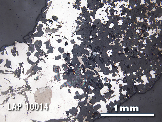 Thin Section Photo of Sample LAP 10014 in Reflected Light with 2.5X Magnification