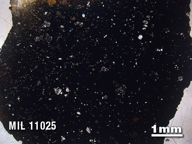 Thin Section Photo of Sample MIL 11025 in Plane-Polarized Light with 1.25X Magnification