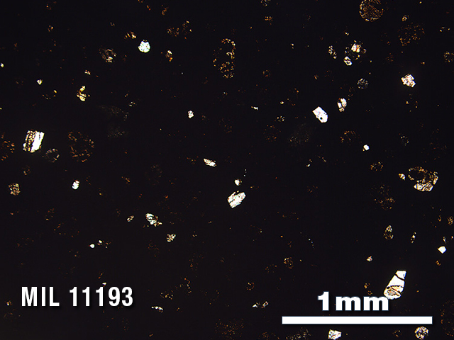 Thin Section Photo of Sample MIL 11193 in Plane-Polarized Light with 2.5X Magnification
