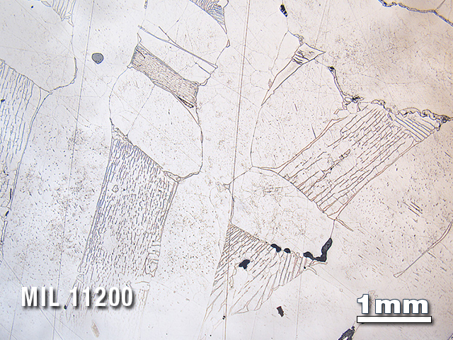 Thin Section Photo of Sample MIL 11200 in Reflected Light with 1.25X Magnification