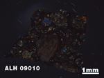 Thin Section Photo of Sample ALH 09010 in Cross-Polarized Light with 1.25X Magnification
