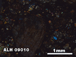 Thin Section Photo of Sample ALH 09010 in Cross-Polarized Light with 2.5X Magnification