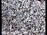 Thin Section Photo of Sample ALH 83018 in Plane-Polarized Light