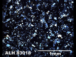 Thin Section Photo of Sample ALH 83018 in Cross-Polarized Light