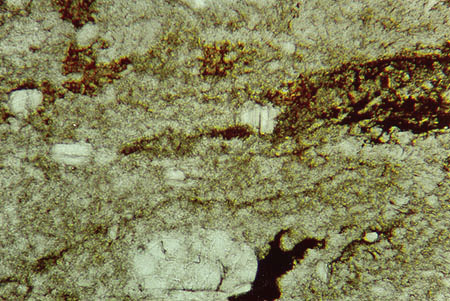 Thin Section Photograph of Sample ALH 84001 in Plane-Polarized Light Showing Poikilitic Patches of Z