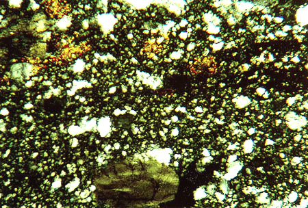 Thin Section Photograph of Sample ALH 84001 in Cross-Polarized Light Showing Poikilitic Patches of Z