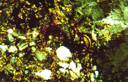 Thin Section Photograph of Sample ALH 84001 in Cross-Polarized Light Showing Rounded Zoned Carbonate