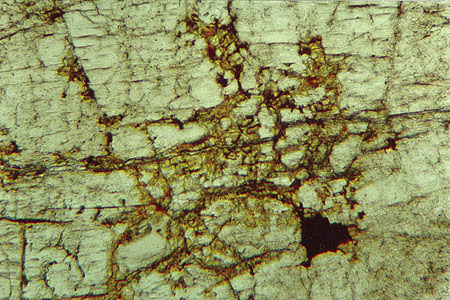 Thin Section Photograph of Sample ALH 84001 in Plane-Polarized Light Showing Fine-Grained Carbonate