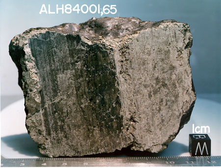B6. West/Bottom View of Sawed Face of Sample ALH 84001,65