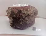 B1. North View of Sample ALH 84001