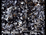 Thin Section Photo of Sample ALH A81260 in Plane-Polarized Light