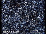 Thin Section Photo of Sample ALH 81260 in Cross-Polarized Light