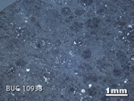 Thin Section Photo of Sample BUC 10933 in Reflected Light with 1.25X Magnification