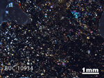 Thin Section Photograph of Sample BUC 10934 in Cross-Polarized Light