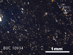 Thin Section Photograph of Sample BUC 10934 in Plane-Polarized Light