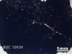 Thin Section Photograph of Sample BUC 10939 in Plane-Polarized Light
