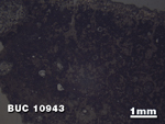 Thin Section Photo of Sample BUC 10943 at 1.25X Magnification in Reflected Light