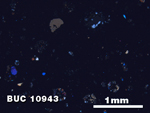 Thin Section Photo of Sample BUC 10943 at 2.5X Magnification in Cross-Polarized Light