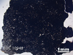 Thin Section Photograph of Sample BUC 10948 in Plane-Polarized Light