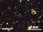 Thin Section Photo of Sample DOM 08351 at 2.5X Magnification in Cross-Polarized Light