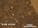 Thin Section Photo of Sample DOM 08385 at 2.5X Magnification in Reflected Light