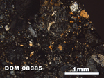 Thin Section Photo of Sample DOM 08385 at 2.5X Magnification in Cross-Polarized Light