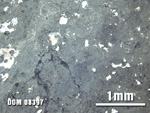 Thin Section Photo of Sample DOM 08397 at 2.5X Magnification in Reflected Light