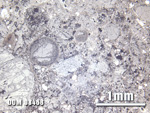 Thin Section Photo of Sample DOM 08468 at 2.5X Magnification in Reflected Light