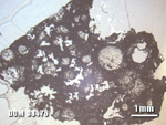 Thin Section Photo of Sample DOM 08476 at 1.25X Magnification in Reflected Light