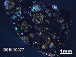 Thin Section Photo of Sample DOM 10077 in Cross-Polarized Light with 1.25X Magnification