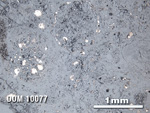 Thin Section Photo of Sample DOM 10077 in Reflected Light with 2.5X Magnification