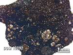 Thin Section Photo of Sample DOM 10092 in Plane-Polarized Light with 1.25X Magnification