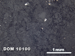 Thin Section Photo of Sample DOM 10100 at 2.5X Magnification in Reflected Light
