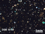 Thin Section Photo of Sample DOM 10101 in Cross-Polarized Light with 1.25X Magnification