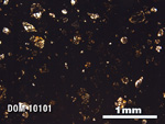 Thin Section Photo of Sample DOM 10101 in Plane-Polarized Light with 2.5X Magnification