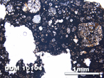 Thin Section Photo of Sample DOM 10104 at 2.5X Magnification in Plane-Polarized Light