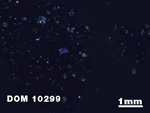 Thin Section Photo of Sample DOM 10299 at 1.25X Magnification in Cross-Polarized Light