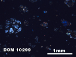Thin Section Photo of Sample DOM 10299 at 2.5X Magnification in Cross-Polarized Light