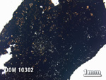Thin Section Photo of Sample DOM 10302 in Plane-Polarized Light with 1.25X Magnification