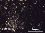 Thin Section Photo of Sample DOM 10302 in Cross-Polarized Light with 2.5X Magnification