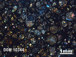 Thin Section Photo of Sample DOM 10344 in Cross-Polarized Light with 1.25X Magnification