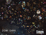 Thin Section Photo of Sample DOM 10490 in Cross-Polarized Light with 1.25x Magnification