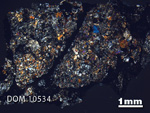 Thin Section Photo of Sample DOM 10534 in Cross-Polarized Light with 1.25X Magnification