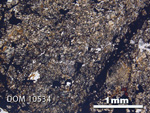 Thin Section Photo of Sample DOM 10534 in Plane-Polarized Light with 2.5X Magnification
