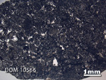 Thin Section Photo of Sample DOM 10566 in Plane-Polarized Light with 1.25X Magnification