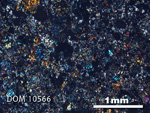 Thin Section Photo of Sample DOM 10566 in Cross-Polarized Light with 2.5X Magnification