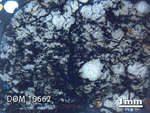 Thin Section Photo of Sample DOM 10662 in Cross-Polarized Light with 1.25x Magnification