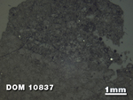 Thin Section Photo of Sample DOM 10837 at 1.25X Magnification in Reflected Light